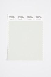 Pantone Smart 12-5703 TCX Color Swatch Card, Frosted Mint