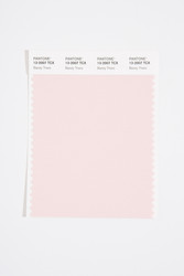 Pantone Smart 13-2007 TCX Color Swatch Card, Barely There