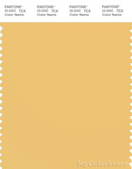 PANTONE SMART 13-0932X Color Swatch Card, Cornsilk