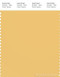 PANTONE SMART 13-0932X Color Swatch Card, Cornsilk