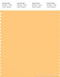 PANTONE SMART 13-0935X Color Swatch Card, Flax