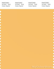 PANTONE SMART 13-0939X Color Swatch Card, Golden Cream