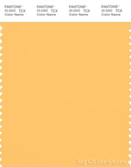 PANTONE SMART 13-0945X Color Swatch Card, Pale Marigold