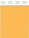 PANTONE SMART 13-0947X Color Swatch Card, Banana