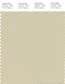 PANTONE SMART 13-1007X Color Swatch Card, Oyster White