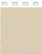 PANTONE SMART 13-1008X Color Swatch Card, Bleached Sand