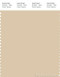 PANTONE SMART 13-1009X Color Swatch Card, Biscotti