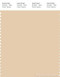 PANTONE SMART 13-1010X Color Swatch Card, Gray Sand