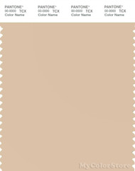 PANTONE SMART 13-1011X Color Swatch Card, Ivory Cream
