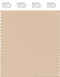 PANTONE SMART 13-1011X Color Swatch Card, Ivory Cream