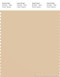 PANTONE SMART 13-1016X Color Swatch Card, Wheat