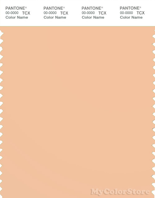PANTONE SMART 13-1017X Color Swatch Card, Almond Cream