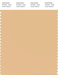 PANTONE SMART 13-1018X Color Swatch Card, Desert Dust