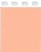 PANTONE SMART 13-1021X Color Swatch Card, Prairie Sunset