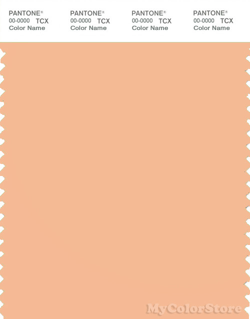 PANTONE SMART 13-1022X Color Swatch Card, Caramel Cream