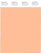 PANTONE SMART 13-1023X Color Swatch Card, Peach Fuzz