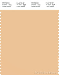 PANTONE SMART 13-1024X Color Swatch Card, Buff