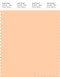 PANTONE SMART 13-1026X Color Swatch Card, Creampuff