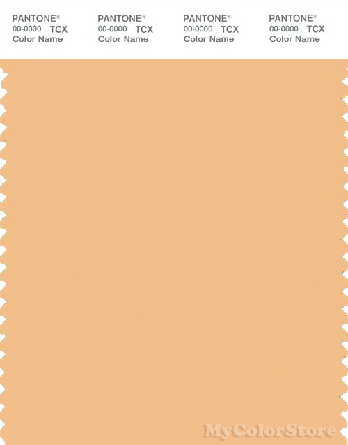 PANTONE SMART 13-1027X Color Swatch Card, Apricot Cream