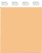 PANTONE SMART 13-1030X Color Swatch Card, Sunburst