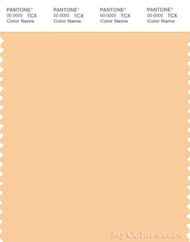 PANTONE SMART 13-1031X Color Swatch Card, Apricot Sherbert