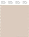 PANTONE SMART 13-1107X Color Swatch Card, Whisper Pink