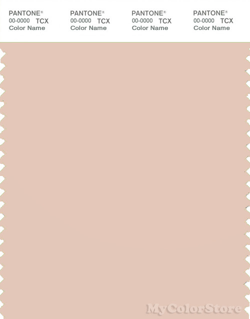 PANTONE SMART 13-1108X Color Swatch Card, Cream Tan