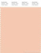 PANTONE SMART 13-1114X Color Swatch Card, Bellini