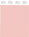 PANTONE SMART 13-1310X Color Swatch Card, English Rose