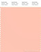 PANTONE SMART 13-1318X Color Swatch Card, Tropical Peach