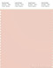 PANTONE SMART 13-1404X Color Swatch Card, Pale Dogwood