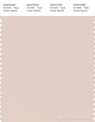 PANTONE SMART 13-1405X Color Swatch Card, Shell