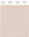 PANTONE SMART 13-1405X Color Swatch Card, Shell