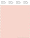 PANTONE SMART 13-1407X Color Swatch Card, Creole Pink