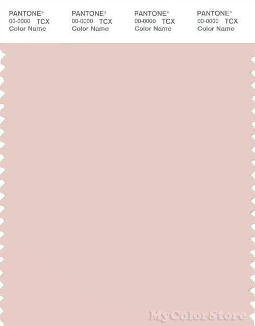 PANTONE SMART 13-1504X Color Swatch Card, Peach Blush