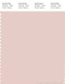PANTONE SMART 13-1504X Color Swatch Card, Peach Blush