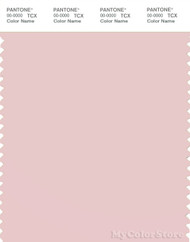 PANTONE SMART 13-2004X Color Swatch Card, Pinkish Gray