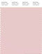 PANTONE SMART 13-2004X Color Swatch Card, Pinkish Gray