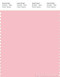 PANTONE SMART 13-2006X Color Swatch Card, Almond Blossom