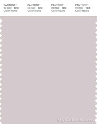 PANTONE SMART 13-3804X Color Swatch Card, Gray Lilac
