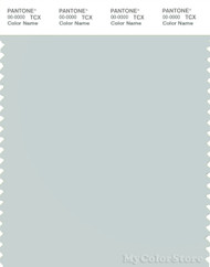PANTONE SMART 13-4404X Color Swatch Card, Ice Flow