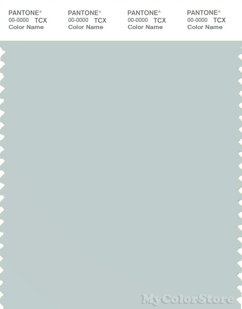PANTONE SMART 13-4405X Color Swatch Card, Misty Blue