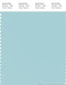 PANTONE SMART 13-4809X Color Swatch Card, Plume