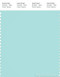 PANTONE SMART 13-4909X Color Swatch Card, Blue Light