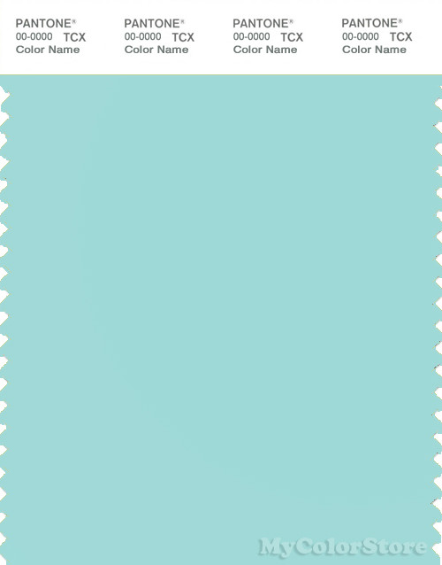 PANTONE SMART 13-4910X Color Swatch Card, Blue Tint