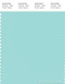 PANTONE SMART 13-4910X Color Swatch Card, Blue Tint
