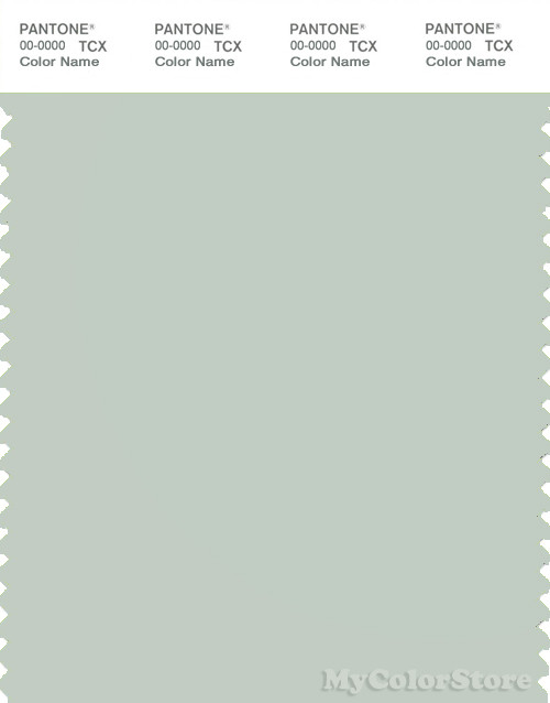 PANTONE SMART 13-5305X Color Swatch Card, Pale Aqua