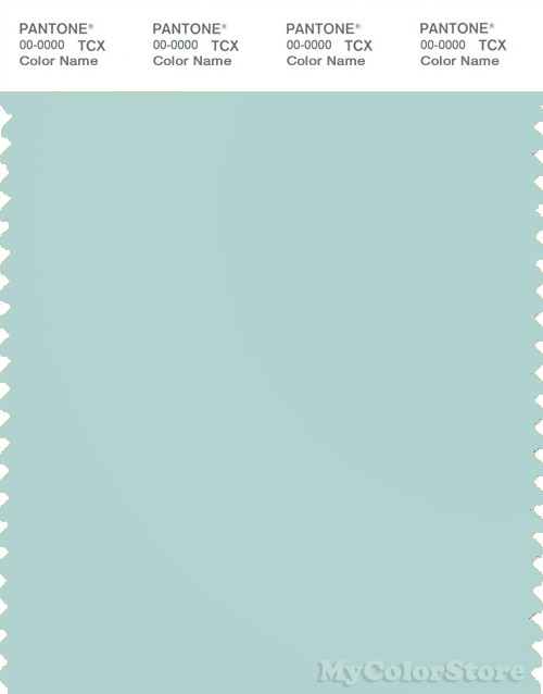 PANTONE SMART 13-5306X Color Swatch Card, Icy Morn