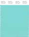 PANTONE SMART 13-5313X Color Swatch Card, Aruba Blue