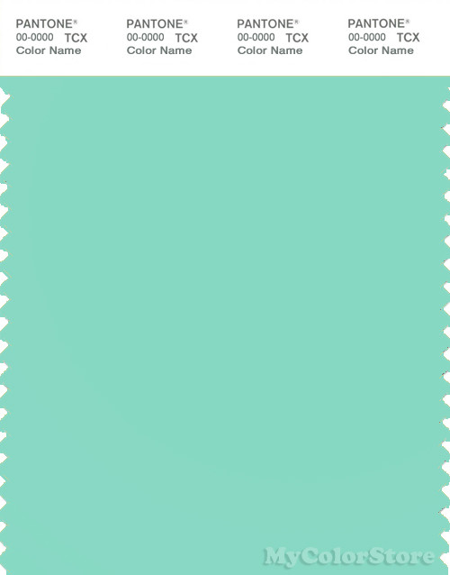 PANTONE SMART 13-5414X Color Swatch Card, Ice Green